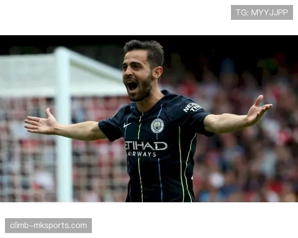 贝尔纳多组织核心