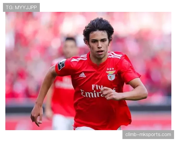 菲利克斯本菲卡封神赛季解析：一战成名欧洲赛场